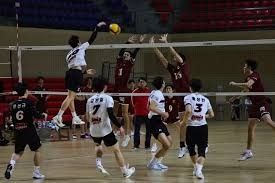 对3年前意图谋杀指控不抗辩 UFC传奇人物入狱5年